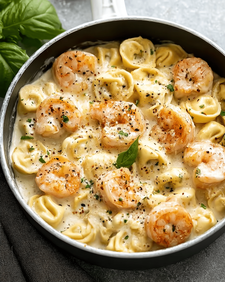 Shrimp Tortellini Alfredo